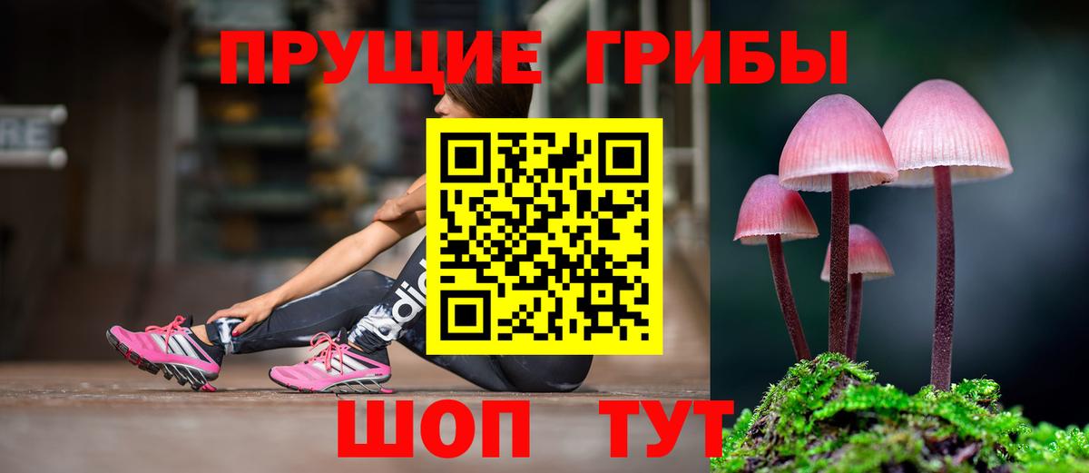 Галлюциногенные грибы MAGIC MUSHROOMS Амурск